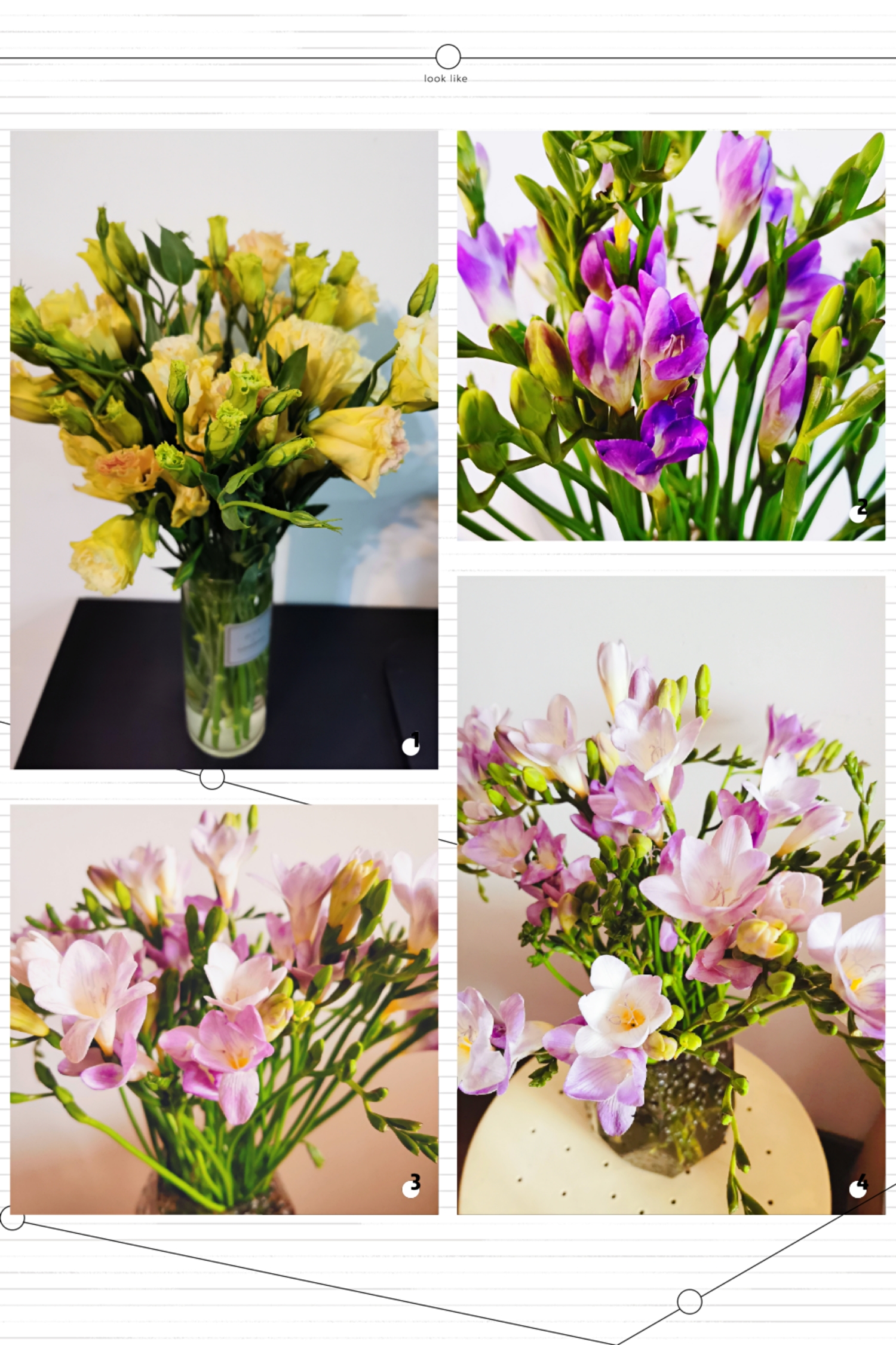 Happy Women’s Day | 戰疫時期，這個三八節，我們“e”起過！